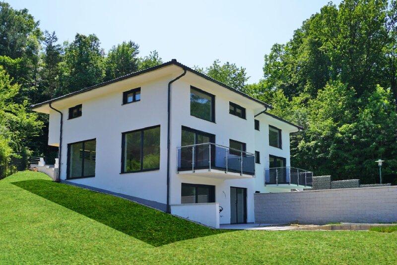 Haus 2 Garten mit Pool