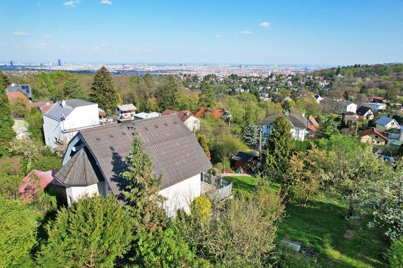 Drohnenaufnahme mit Wienblick