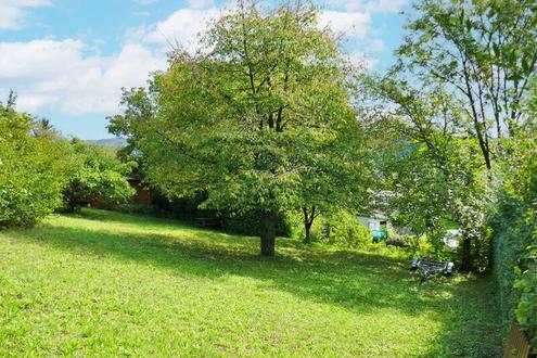 Baugrund auf leichtem Sdhang in idyllischer Lage in Tulln-Nhe