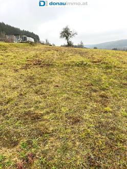 Sonniges, groes Baugrundstck in Ruhelage mit angrenzenden Grnland in Olbendorf Nhe Stegersbach