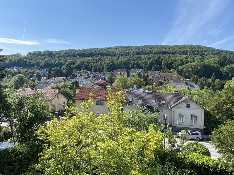 Ausblick vom Dachgescho nach Sden