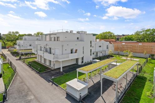 THE VINEYARD. 3 Zimmer Penthouse mit 109m² Terrasse und Fernblick.