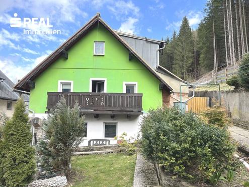 Einfamilienhaus mit grozgigen Grnflchen und einem Waldstck in Mariazell