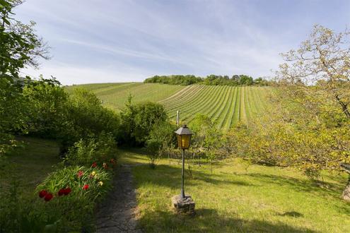 Einzellagenjuwel - 2.500m2 Grundstck zwischen den Weinreben am Nuberg