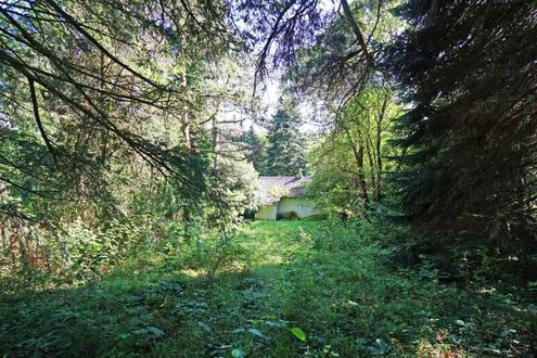 Grozgiges Baugrundstck mit Grnland und Altbestand im Irenental