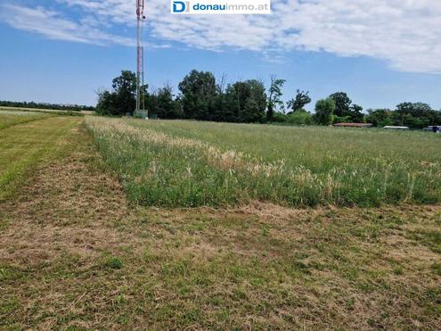Groes Baugrundstck mit ca 6000 m in Theresienfeld
