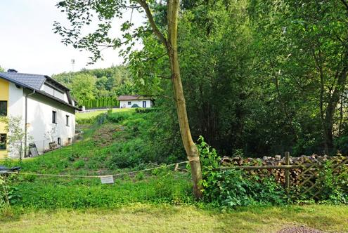 Grundstck in Grnlage im Pressbaumer Zentrum