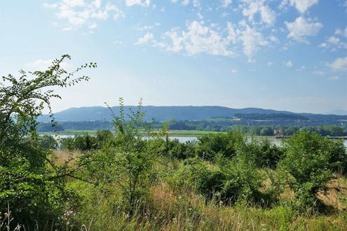 Baugrund an der Donau bei Melk mit Traumausblick bis zum tscher