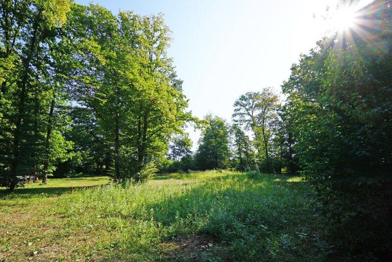 Riesiger Gemeinschaftsgarten mit direktem Ausgang auf eine W