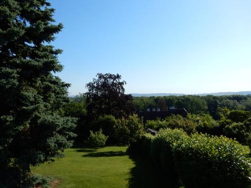 Am Sonnenplateau von Kritzendorf!