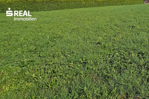 8380 Jennersdorf - Traumhaftes Baugrundstck fr Privatpersonen und Bautrger am Rande Ortszentrums!