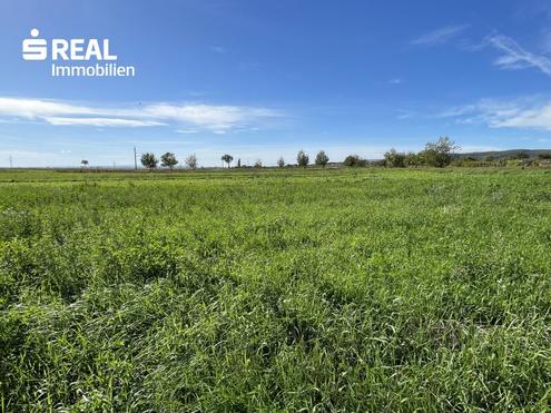 Exklusives Grundstck - Grner Ausblick bis zum Neusiedlersee