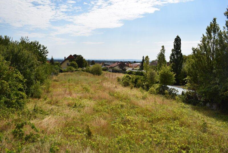Grundstck Soo, Schnweg 8, Blick Sd/Ost, Lehner & Trompet