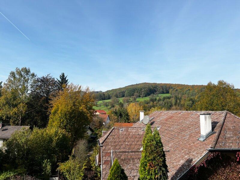 Ausblick ins Grne