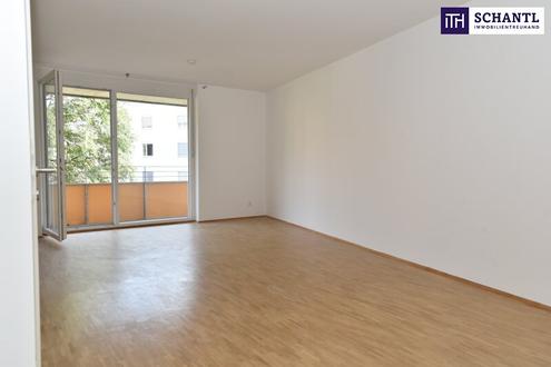 Wunderbare helle und wirklich sehr gut geschnittene Kleinwohnung sofort zu mieten - mit Balkon in Ost-Ausrichtung und einem schönen Badezimmer - PROVISIONSFREI!