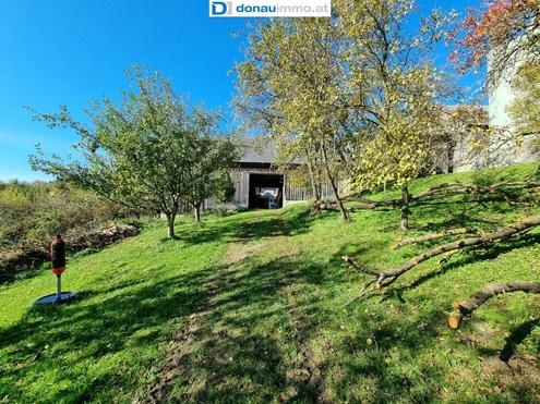 Vierkanthof im schnen Waldviertel im Bezirk Zwettl - ideal fr Tierhaltung