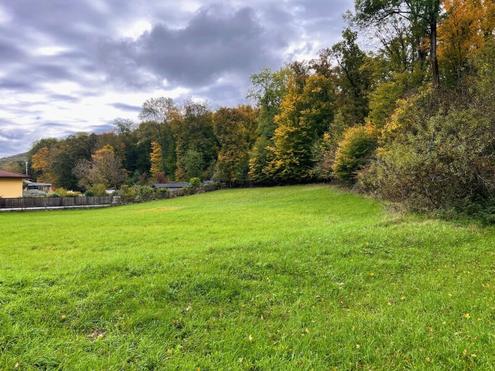 Groer Grundstck direkt am Waldrand !!!