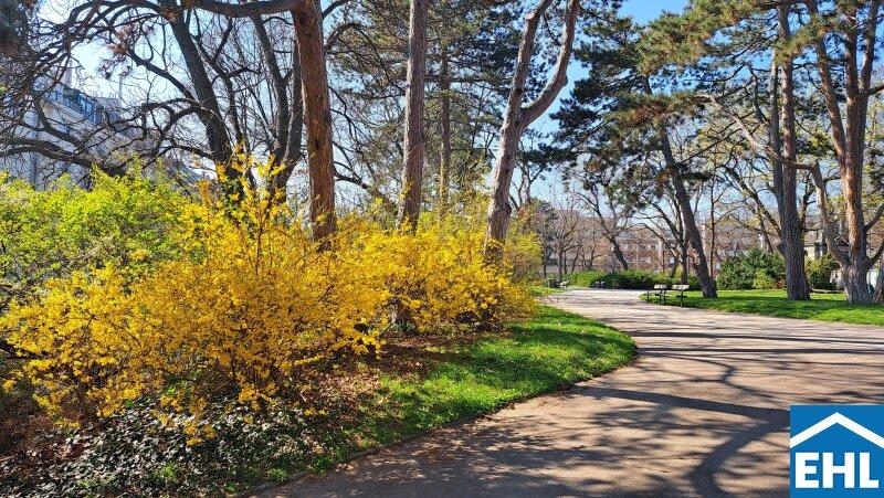 Matzner- Park