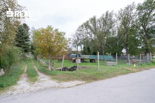2 Baugrnde - 1.000m und 1.200m in ruhiger Lage im Bauland Agrar - Betriebs- oder Wohngebude!