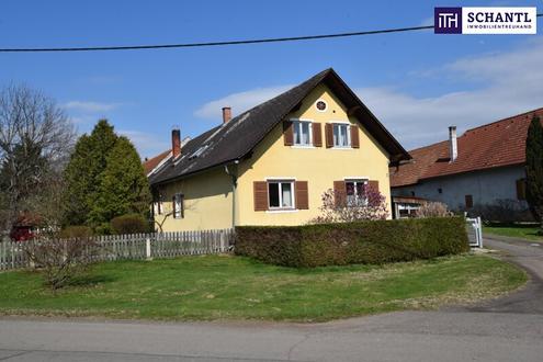 Ein Ort der Ruhe und Erholung: Idyllisches Landgrundstück mit Wohnhaus und Wirtschaftsgebäude auf 3.600 m² inmitten unberührter Natur bei Bad Radkersburg - Ihr persönliches Paradies