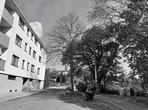 Gemeinschaftsgarten, Garagenstellplatz - Neubauwohnung mit Loggia