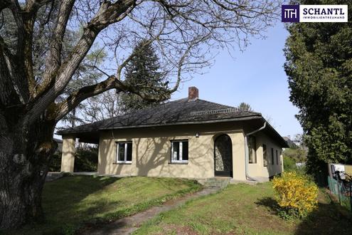 Romantischer, sehr geräumiger 6 Zimmer Bungalow im wunderschönen Grazer Bezirk Sankt Peter - Top PREIS-Top Lage und Top-Verkehrsanbindung!