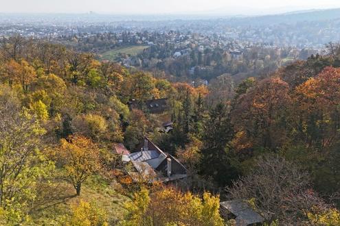 Ehemaliges Weinhauerhaus in einzigartiger Sieveringer Lage wartet auf Revitalisierung!