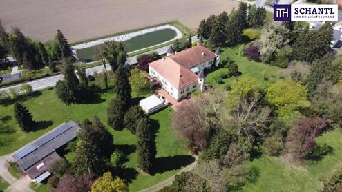 Ein Märchenschloss Nähe Wildon-komplett saniert mit prachtvoller ca. 40.000m² Parkanlage - Biomasseheizung!