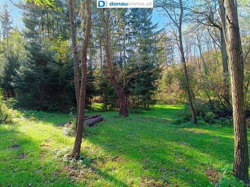 Smarthaus mit A++ Bewertung im Herzen des rsg Nationalparks mit eigenem Wald