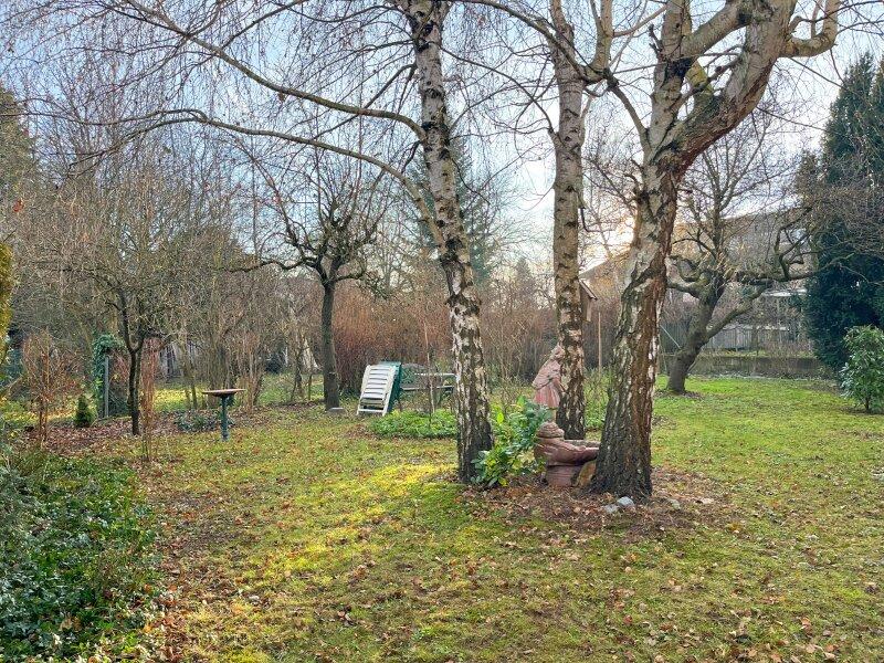 schner, ebener Garten