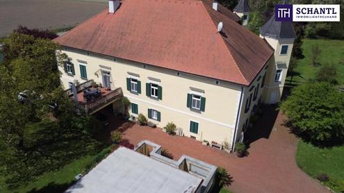 Ein Märchenschloss Nähe Wildon-komplett saniert mit prachtvoller ca. 40.000m² Parkanlage - Biomasseheizung!