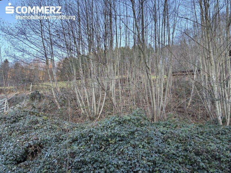 Garten hinter dem Haus