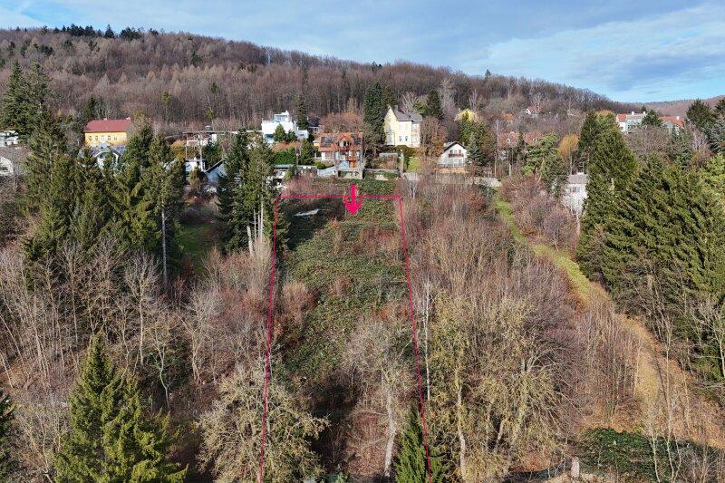 Blick auf das Hanggrundstck von Sd-Sd-Ost