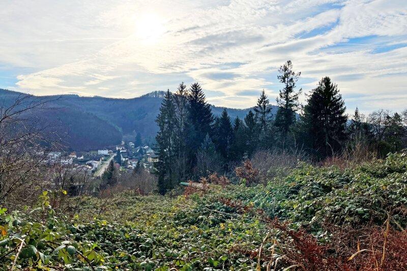 oberes Grundstck und Ausblick