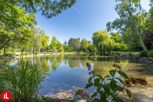 Schwechat - 1 Zimmer Mietwohnung nahe dem Felmayergarten