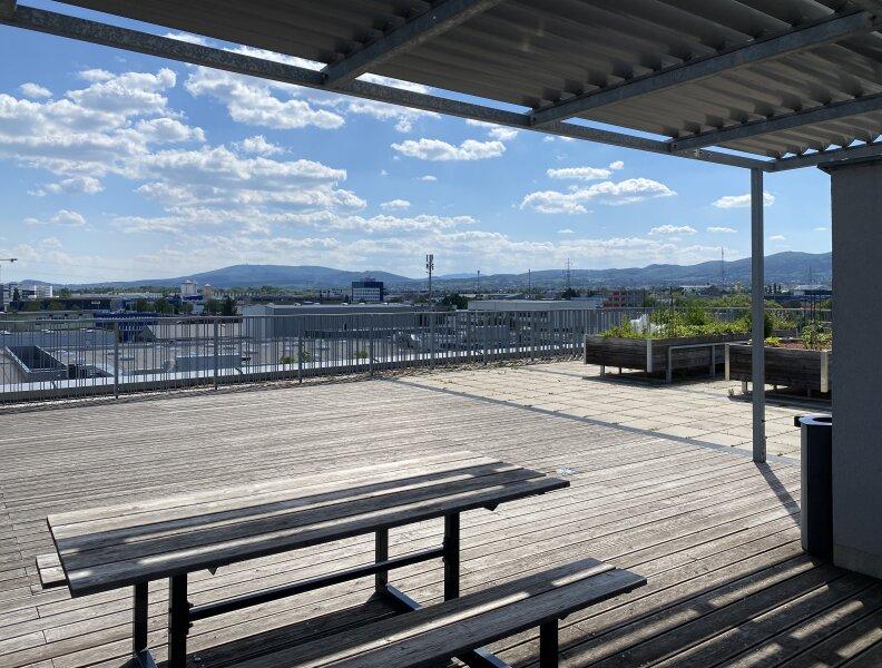 Grozgige Dachterrasse mit Ausblick
