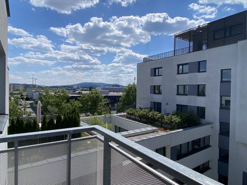Ausblick Richtung Brunn am Gebirge