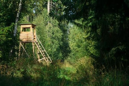 Exklusives Waldgrundstck in Dbling, Nhe Krapfenwaldbad