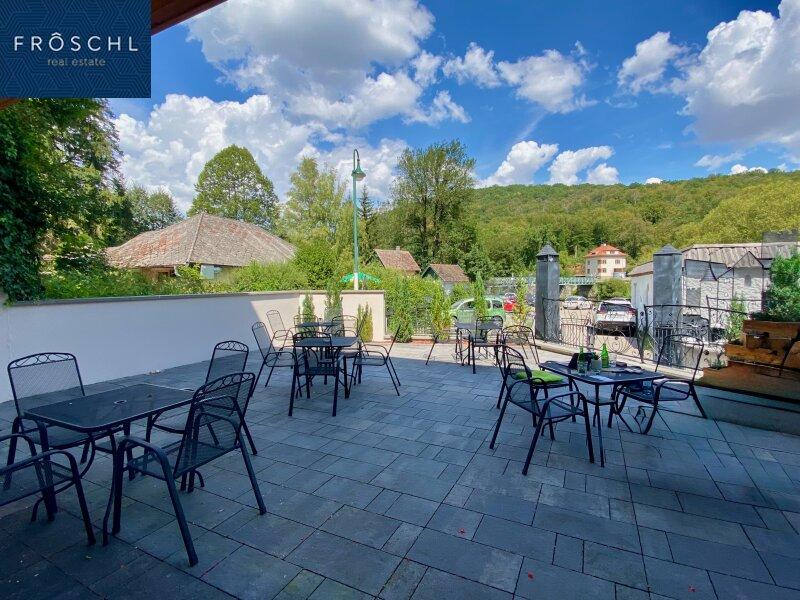 Sommer-Blick von der Terrasse