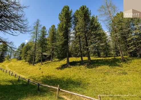 ZWEITWOHNSITZTAUGLICH! Grundst�ck in idyllischer Lage auf der Turracher H�he