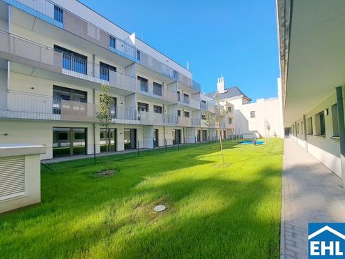 Das Koloman: Ihr Rückzugsort in der Stadt