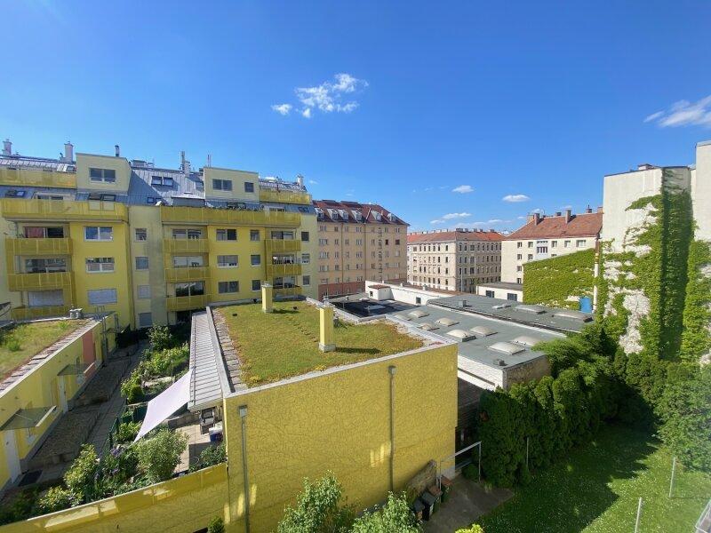Blick_W_5