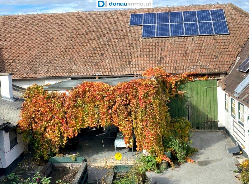Hofansicht im Herbst, Hof Bezirk Hollabrunn