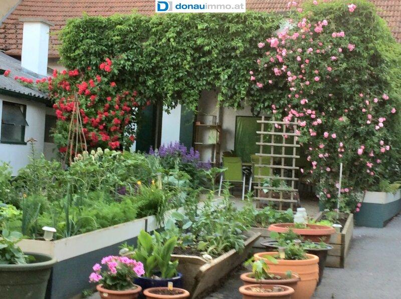 Sommerimpression
