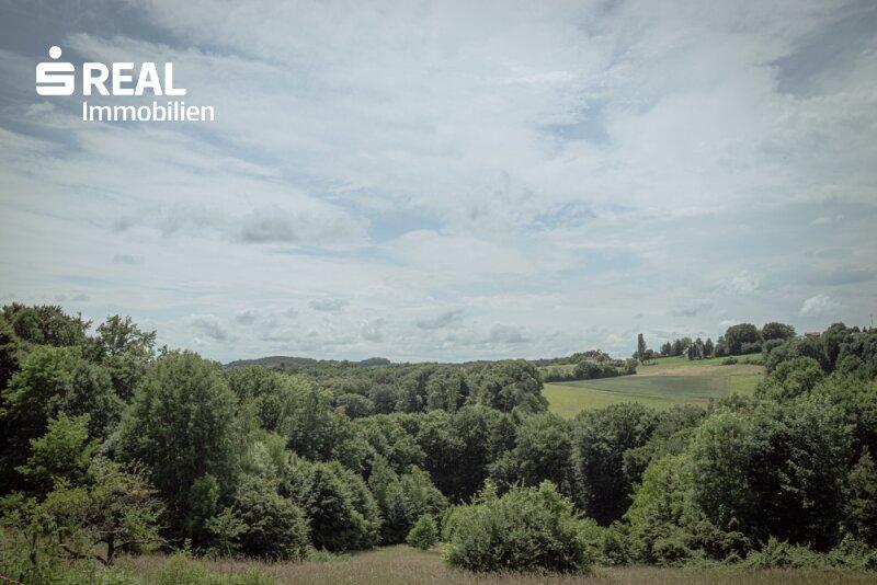 Blick West von der Kche