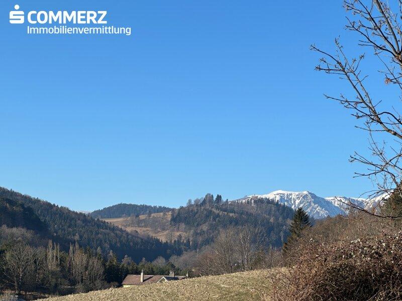 Ausblick
