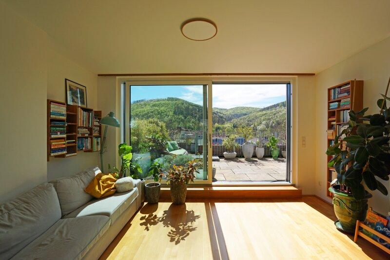 Wohnzimmer Ausgang Dachterrasse