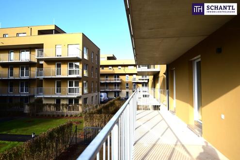 Genießen Sie herrliche Sommertage in Ihrem idyllischen Eigenarten - viele weitere Wohnungen auch nur mit Balkon verfügbar!