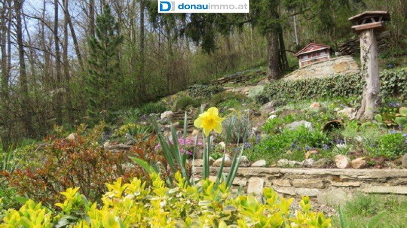 3571 Rosenburg: Landhaus im Kamptal zu kaufen