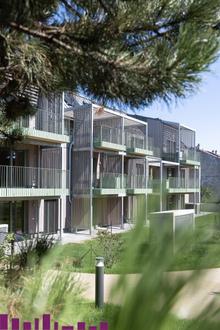 WIEN IST EIN DORF - Dorf Stadt Oase - Traumhaftes Wohnen im Grünen